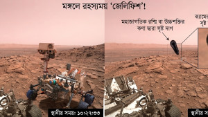 মঙ্গলে ‘জেলিফিশ’! নাসার ছবিতে রহস্য