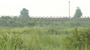 বিএসএফের গুলিতে বাংলাদেশি নিহত