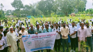 শিক্ষার্থীদের গাছের চারা দিল অনিরুদ্ধ আশরাফ ফাউন্ডেশন