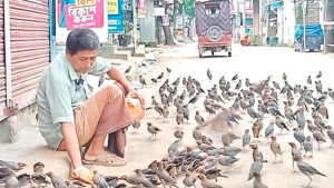 ১০ বছর ধরে পাখিদের খাওয়াচ্ছেন বুদ্ধ