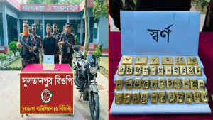 দর্শনা সীমান্তে ১৩ কোটি টাকার স্বর্ণসহ পাচারকারী আটক