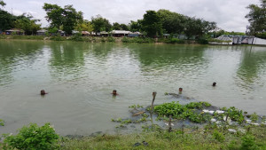 নীলফামারীতে পৃথক দুর্ঘটনায় শিশুসহ তিনজন নিহত