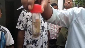 ভৈরবে বাড়ছে ডেঙ্গুর প্রকোপ, বাড়িতে মিলল এডিস মশার লার্ভা