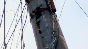 জরাজীর্ণ বৈদ্যুতিক খুঁটি ও ঝুলন্ত তার যেন মরণফাঁদ