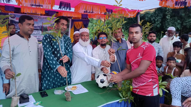 ঝিনাইদহে পরিবেশের ভারসাম্য রক্ষায় ১ হাজার গাছের চারা বিতরণ
