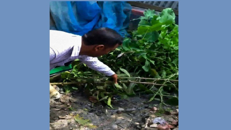 কুমিল্লায় প্রবাসীর বাড়ি দখলের অভিযোগ, আতঙ্কে পরিবার