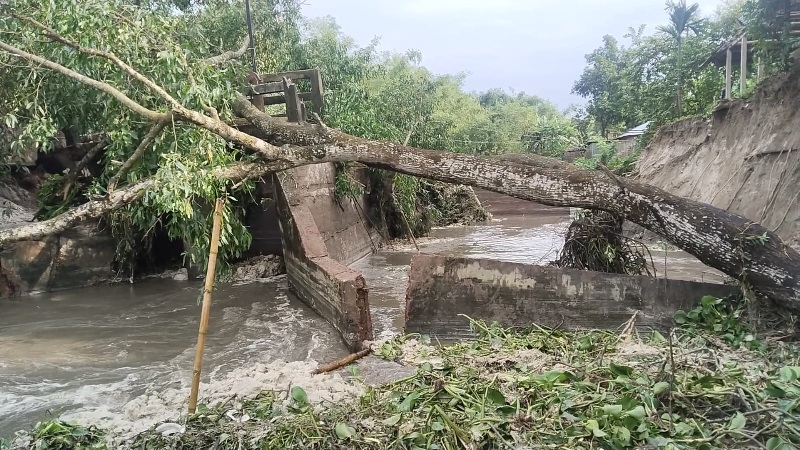 পানির চাপে ভাঙলো স্লুইসগেট, হুমকিতে কৃষিজমি