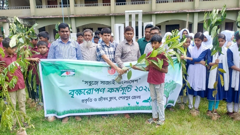 নালিতাবাড়ীতে প্রকৃতি ও জীবন ক্লাবের উদ্যোগে বৃক্ষরোপণ কর্মসূচি