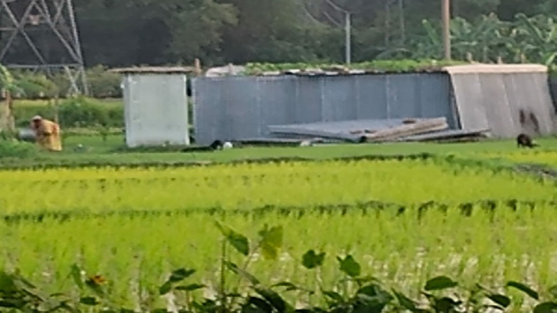 পাবনায় বিধবার ১৪ শতক জমি দখলের অভিযোগ