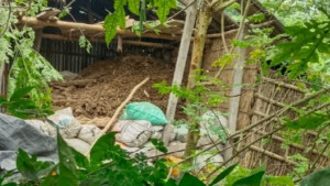 বসত বাড়িতে হঠাৎ বিকট শব্দে একের পর এক বিস্ফোরণ