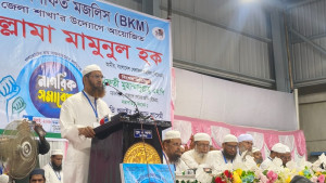 সরকার গণভোট গণরায়ের পেছনে ছুরিকাঘাত করেছে: মামুনুল হক