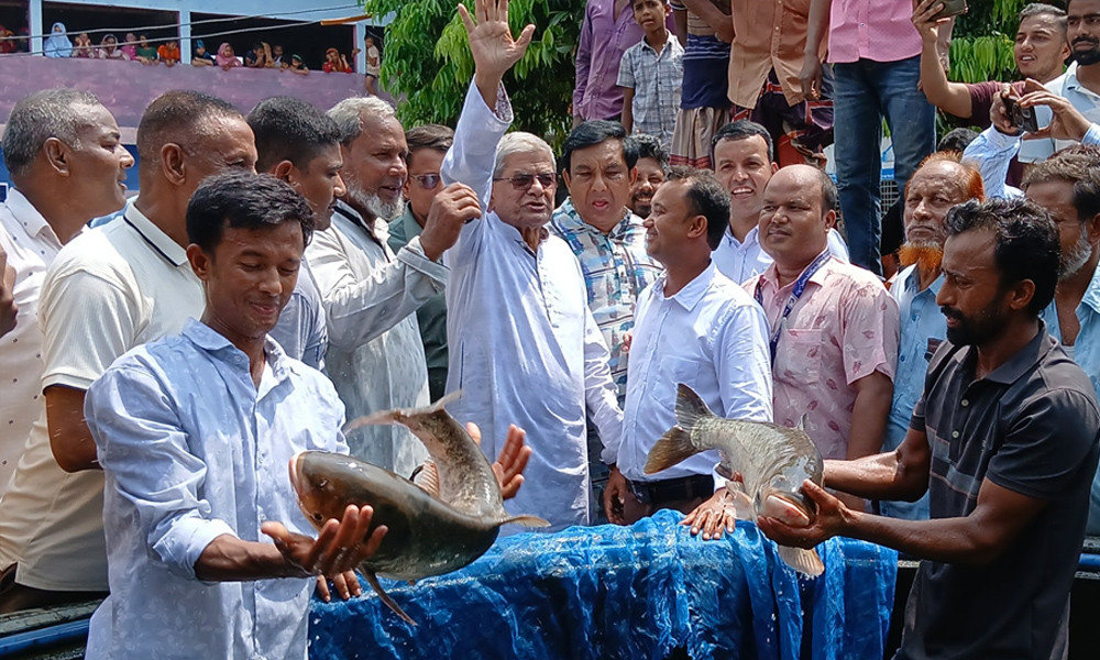 আয়ের জন্য কাজ করতে হবে, তরুণদের মির্জা ফখরুল