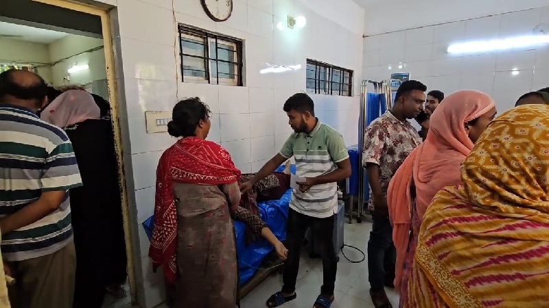 পদ্মায় গোসলে নেমে প্রাণ গেল গৃহবধূ ববিতার
