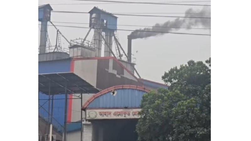 অটো রাইস মিলের কালো ধোঁয়া-ছাইয়ে দুর্ভোগ
