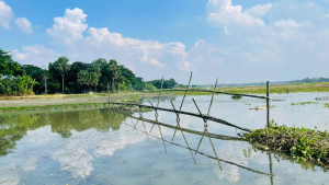 বাঁশের সাঁকো নির্মাণে দুই গ্রামের মানুষের দুর্ভোগ কমালেন যুবদল নেতা
