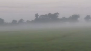 কুয়াশায় জানান দিচ্ছে শীতের আগমনী বার্তা
