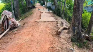 বেহাল সড়কে ভোগান্তি চরমে