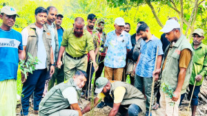 চুনতি অভয়ারণ্যে উদ্ধারকৃত বনভূমিতে গাছের চারা রোপন