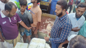 সিরাজগঞ্জে জেলি পুশ করা সাড়ে ৪০০ কেজি চিংড়ি ধ্বংস