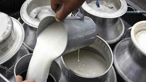 পাবনায় ‘নকল দুধের’ রমরমা কারবার