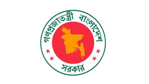 ছাদভিত্তিক সৌরবিদ্যুৎ বাড়াতে নতুন অধ্যাদেশ জারি