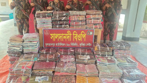 সীমান্তে ৮০ লাখ টাকার ভারতীয় পণ্য জব্দ