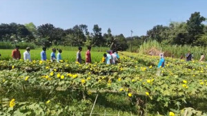 বড়াইগ্রামে ঘাসের জমিতে মানসিক ভারসাম্যহীন ব্যক্তির মরদেহ উদ্ধার!