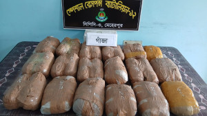 দামুড়হুদায় সাড়ে  ১৮ কেজি গাঁজাসহ নারী গ্রেপ্তার