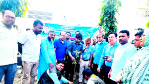 জেলা প্রশাসনের উদ্যোগে লোহাগাড়ায় ৫ হাজার বৃক্ষরোপণ কর্মসূচি বাস্তবায়ন