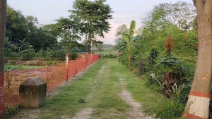 এক দিনের ব্যবধানে কালীগঞ্জে দুই মরদেহ উদ্ধার