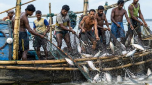 জেলেদের জন্য ১ হাজার ৬৫৭ টন ভিজিএফ চাল বরাদ্দ