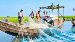 নিষেধাজ্ঞায় বন্ধ রোজগার, লালমোহনে সরকারি চাল না পেয়ে ঋণে ডুবছেন জেলেরা