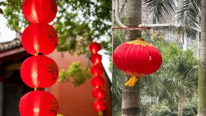 মাটিরাঙ্গা হর্টিকালচার সেন্টারে ঝুলছে ‘চাইনিজ ল্যান্টার্ন’