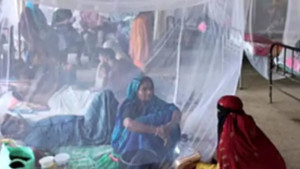 ময়মনসিংহে ডেঙ্গুতে আরো একজনের মৃত্যু