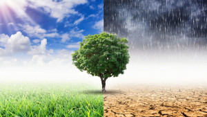 ইসলামের দৃষ্টিতে পরিবেশ রক্ষা করাও ইবাদত