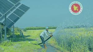 সৌর সেচে বদলে যাচ্ছে কৃষি, বাড়ছে ফলন