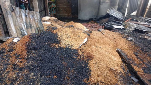 গোয়ালন্দে ভয়াবহ অগ্নিকাণ্ডে পুড়ল ৩ টি ঘর, গরু ও ৬০ মণ ধান
