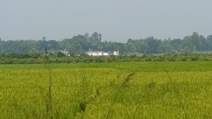 নওগাঁর দুই সীমান্তে সাতজনকে পুশইনের চেষ্টা, বিজিবির প্রতিরোধ