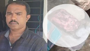 পেকুয়ায় গরু চুরি করে পাহাড়ে জবাই, জঙ্গলে মিলল মাথা; গ্রেপ্তার ৩