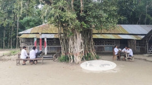 বটগাছের নিচে পাঠদান, ঝুঁকিপূর্ণ ভবনেই চলছে ক্লাস