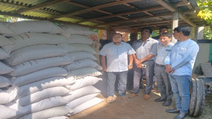 বোদায় পাচারের সময় ১২০ বস্তা সার উদ্ধার, ডিলারের বিক্রি বন্ধ