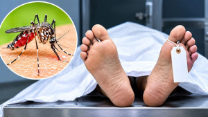ডেঙ্গুতে আক্রান্ত কয়রার যুবকের মৃত্যু