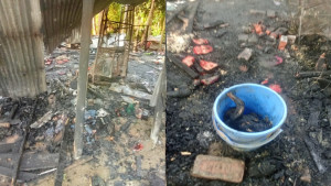 লোহাগড়ায় আগুনে পুড়ল দিনমজুরের বসতঘর, ক্ষতি ৫ লাখ টাকা