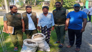সুন্দরবনের শামুক পাচারেরকালে আটক ১