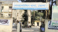 বাবাকে বাঁচাতে গিয়ে নিভে গেল দুই ভাইয়ের জীবন প্রদীপ