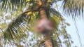 নারিকেল গাছ পরিষ্কার করতে গিয়ে বিদ্যুৎস্পৃষ্টে যুবকের মৃত্যু