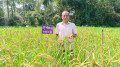 জরাজীর্ণ ঘরে ২১ বছরের গবেষণা, ২৫ জাতের ধান উদ্ভাবন সেন্টু হাজংয়ের
