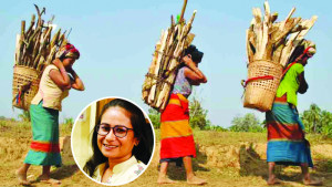 আদিবাসী প্রশ্নে বড় সংকট বুদ্ধিজীবীতার