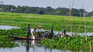 আখাউড়ায় অবৈধভাবে ড্রেজার দিয়ে মাটি উত্তোলন, কারাদণ্ডসহ জরিমানা