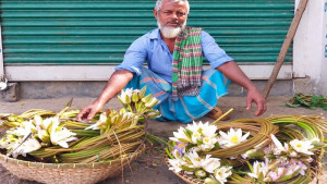 শাপলা বিক্রি করে চলছে অনেকের সংসার